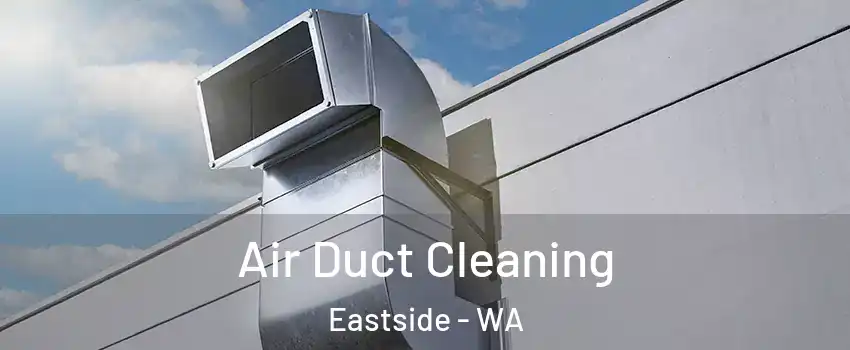 Air Duct Cleaning Eastside - WA