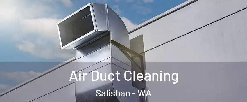 Air Duct Cleaning Salishan - WA