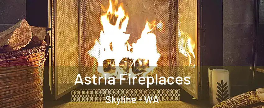 Astria Fireplaces Skyline - WA