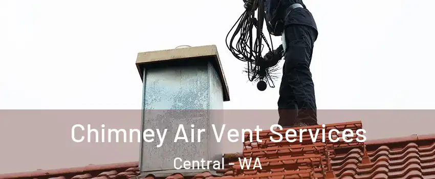 Chimney Air Vent Services Central - WA