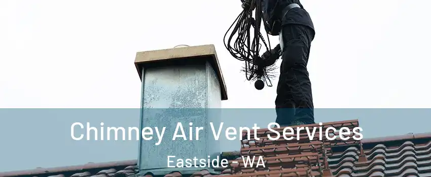 Chimney Air Vent Services Eastside - WA