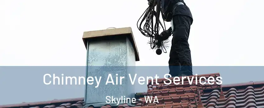 Chimney Air Vent Services Skyline - WA