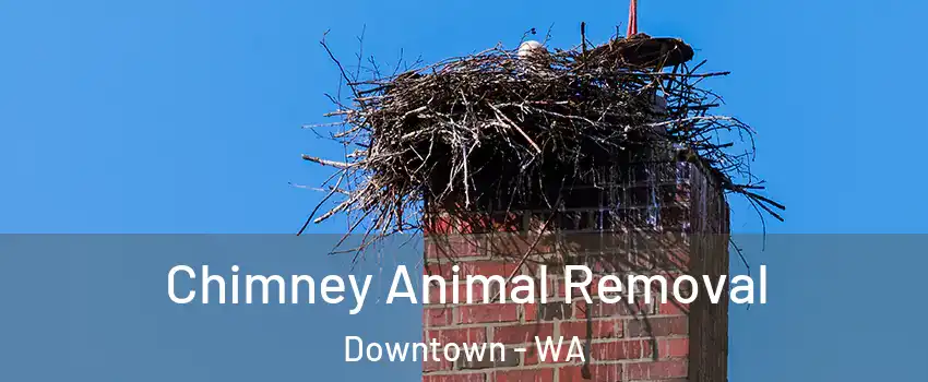 Chimney Animal Removal Downtown - WA