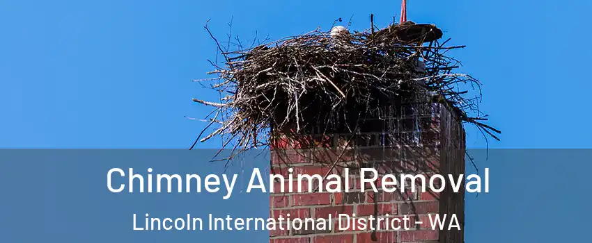 Chimney Animal Removal Lincoln International District - WA