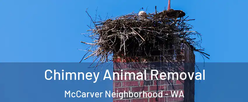 Chimney Animal Removal McCarver Neighborhood - WA