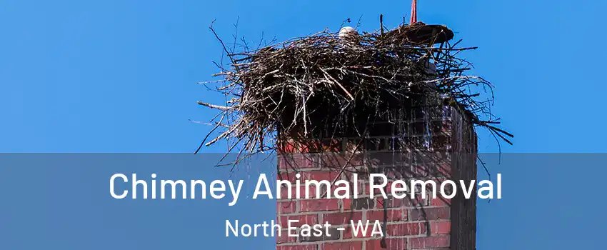 Chimney Animal Removal North East - WA