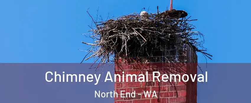 Chimney Animal Removal North End - WA