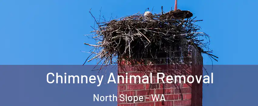 Chimney Animal Removal North Slope - WA