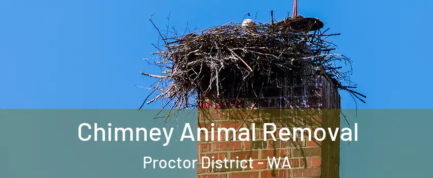 Chimney Animal Removal Proctor District - WA