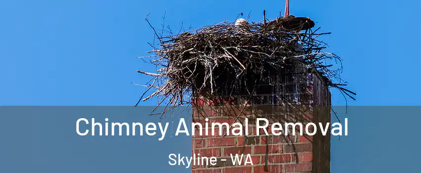 Chimney Animal Removal Skyline - WA