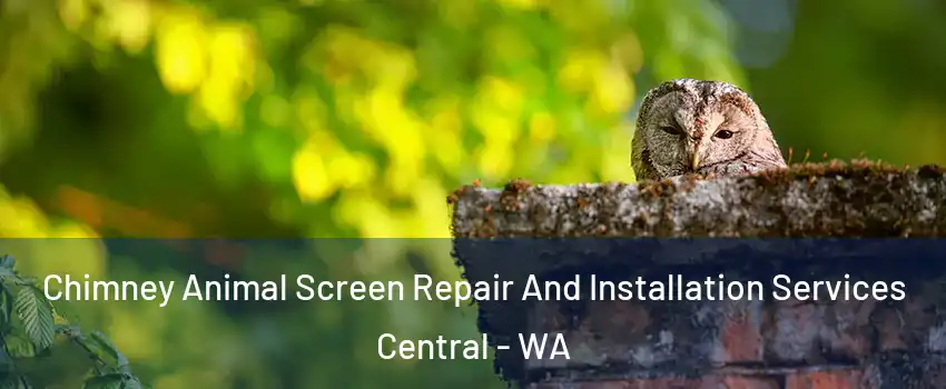 Chimney Animal Screen Repair And Installation Services Central - WA