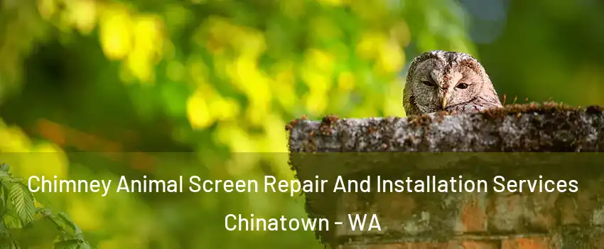 Chimney Animal Screen Repair And Installation Services Chinatown - WA