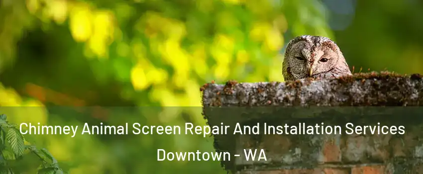 Chimney Animal Screen Repair And Installation Services Downtown - WA