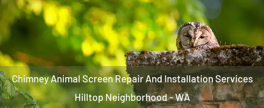 Chimney Animal Screen Repair And Installation Services Hilltop Neighborhood - WA