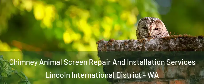 Chimney Animal Screen Repair And Installation Services Lincoln International District - WA