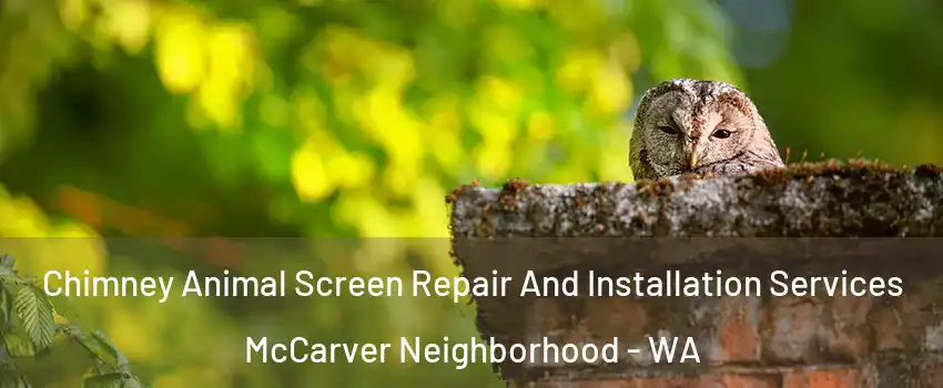 Chimney Animal Screen Repair And Installation Services McCarver Neighborhood - WA