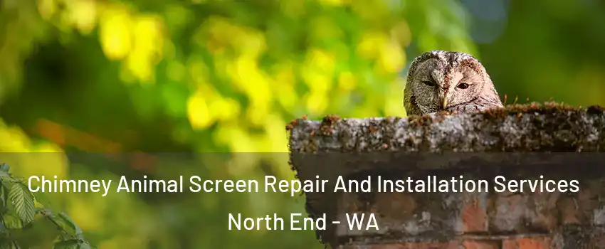 Chimney Animal Screen Repair And Installation Services North End - WA