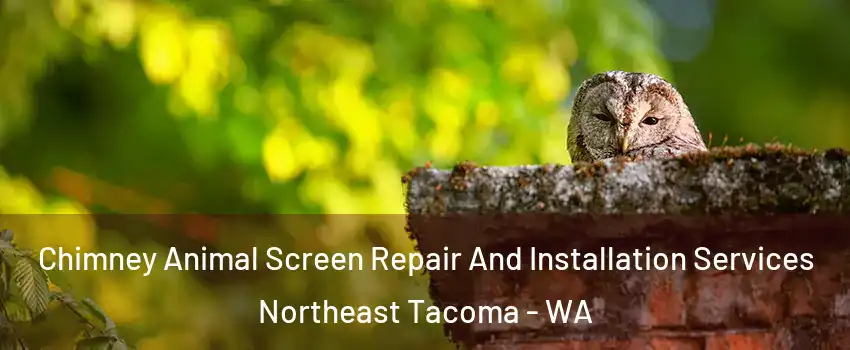 Chimney Animal Screen Repair And Installation Services Northeast Tacoma - WA