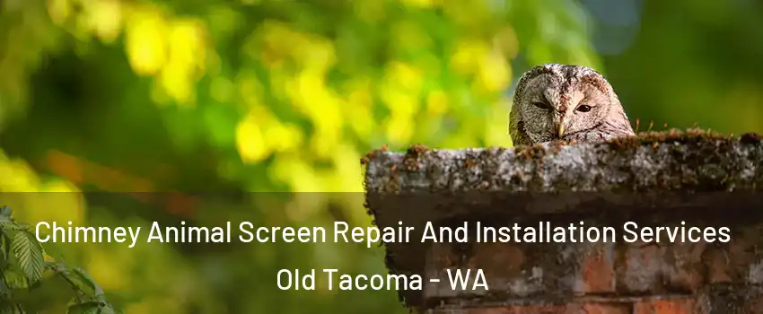 Chimney Animal Screen Repair And Installation Services Old Tacoma - WA