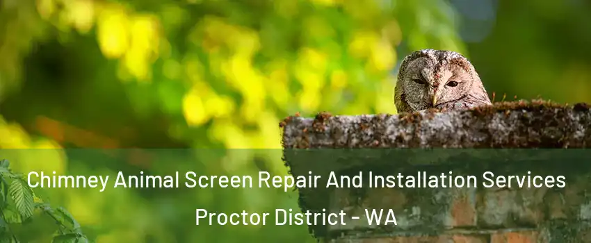 Chimney Animal Screen Repair And Installation Services Proctor District - WA