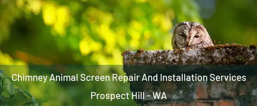 Chimney Animal Screen Repair And Installation Services Prospect Hill - WA