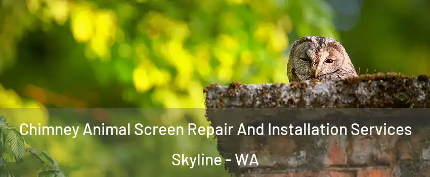 Chimney Animal Screen Repair And Installation Services Skyline - WA