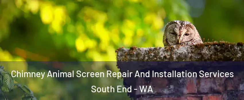 Chimney Animal Screen Repair And Installation Services South End - WA