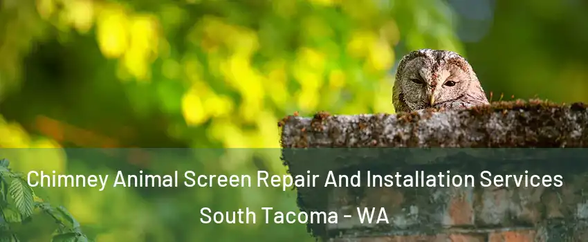 Chimney Animal Screen Repair And Installation Services South Tacoma - WA