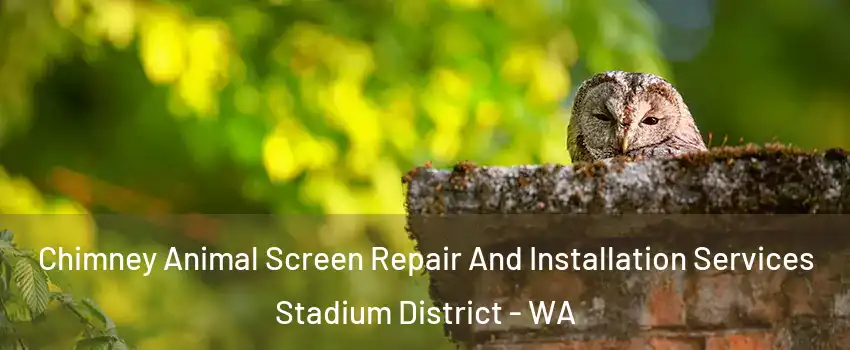 Chimney Animal Screen Repair And Installation Services Stadium District - WA