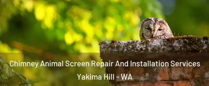 Chimney Animal Screen Repair And Installation Services Yakima Hill - WA