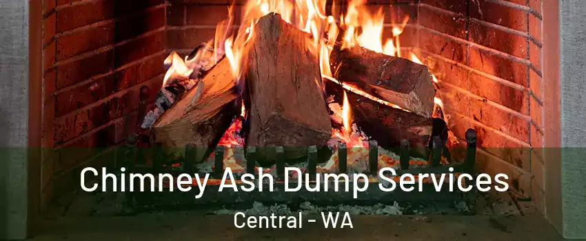 Chimney Ash Dump Services Central - WA