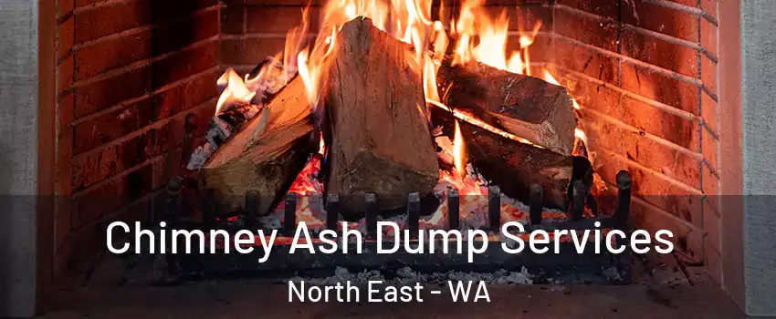 Chimney Ash Dump Services North East - WA