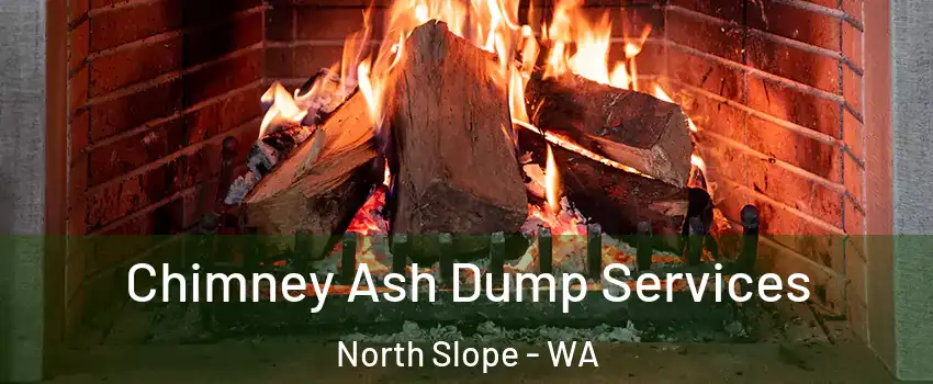 Chimney Ash Dump Services North Slope - WA