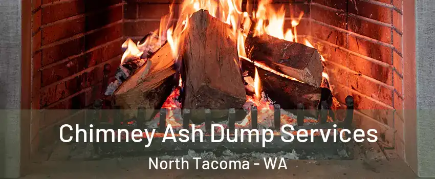 Chimney Ash Dump Services North Tacoma - WA