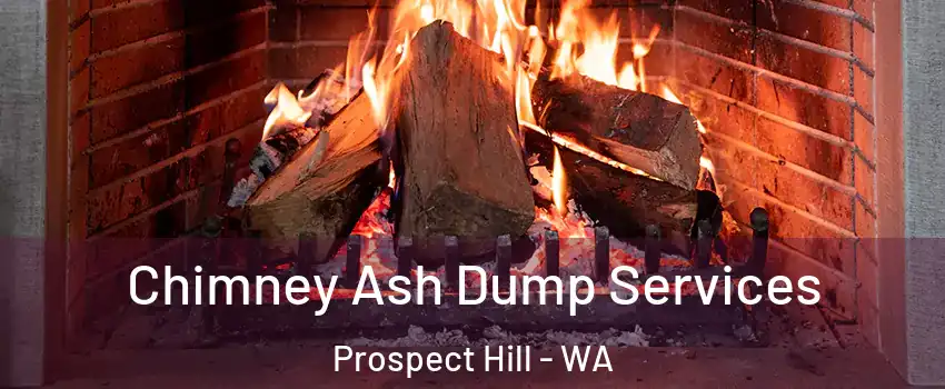 Chimney Ash Dump Services Prospect Hill - WA