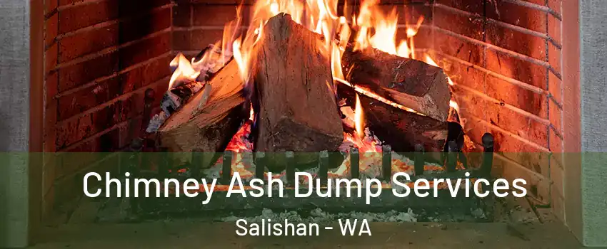 Chimney Ash Dump Services Salishan - WA