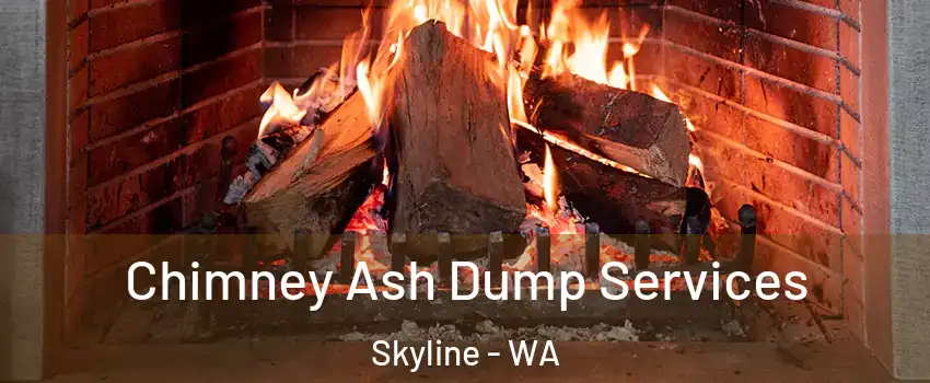 Chimney Ash Dump Services Skyline - WA