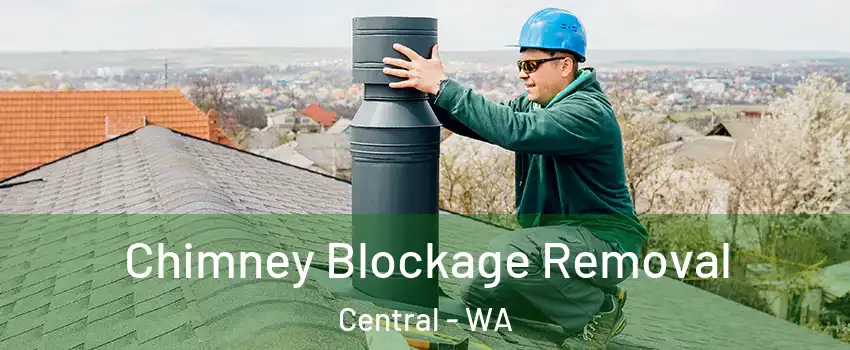 Chimney Blockage Removal Central - WA