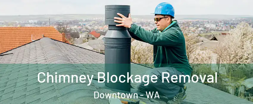 Chimney Blockage Removal Downtown - WA