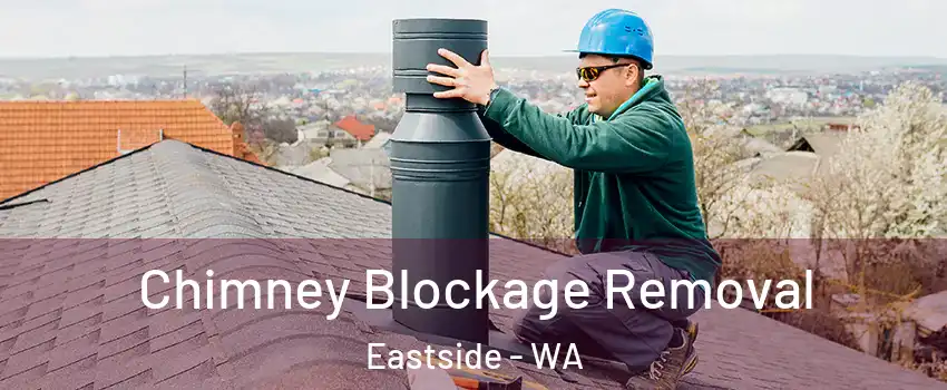 Chimney Blockage Removal Eastside - WA