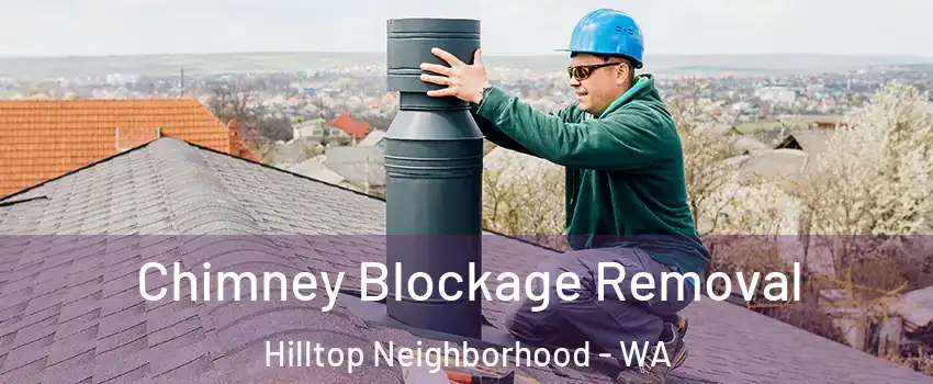 Chimney Blockage Removal Hilltop Neighborhood - WA