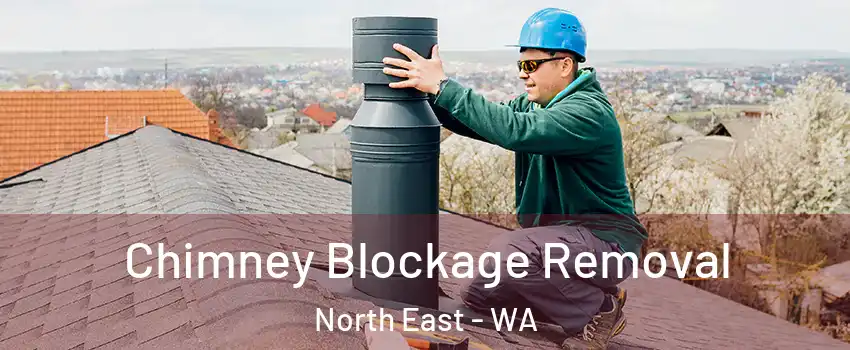 Chimney Blockage Removal North East - WA