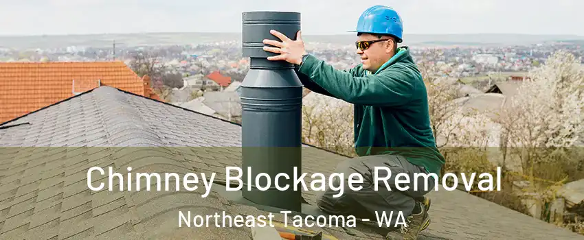 Chimney Blockage Removal Northeast Tacoma - WA