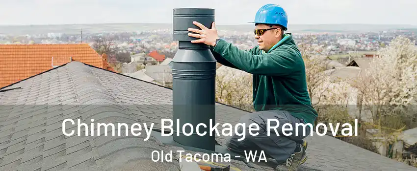 Chimney Blockage Removal Old Tacoma - WA