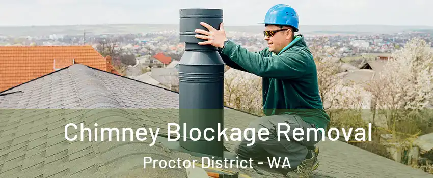 Chimney Blockage Removal Proctor District - WA