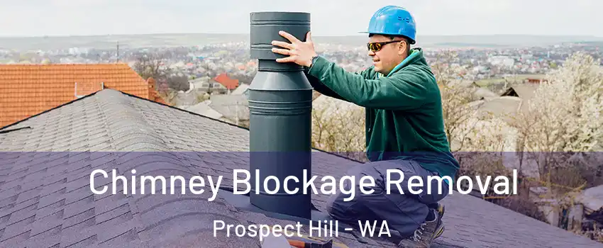 Chimney Blockage Removal Prospect Hill - WA