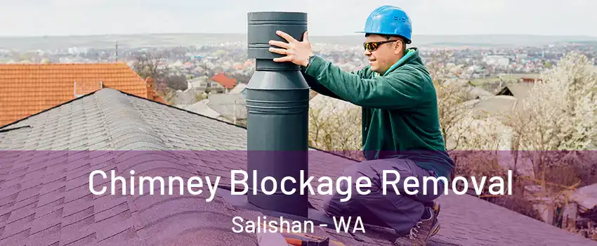 Chimney Blockage Removal Salishan - WA