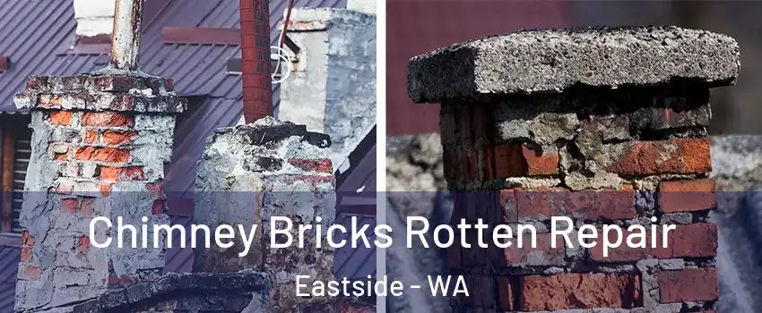 Chimney Bricks Rotten Repair Eastside - WA