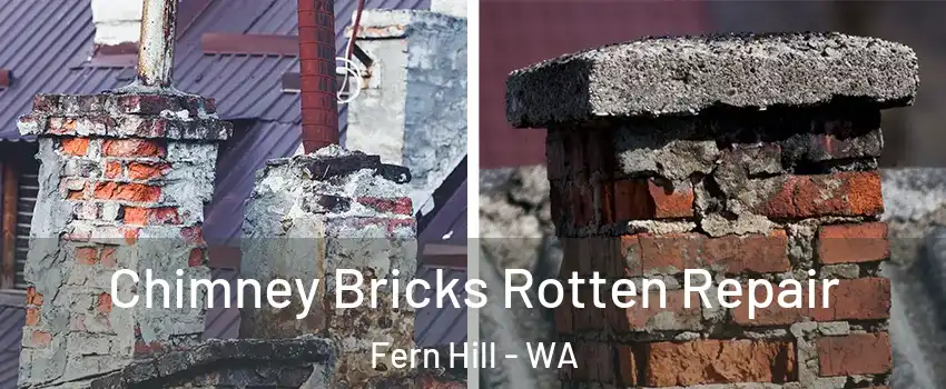 Chimney Bricks Rotten Repair Fern Hill - WA