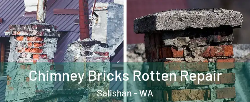 Chimney Bricks Rotten Repair Salishan - WA